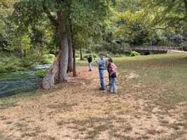 IMG_1203(1)