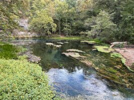 IMG_1213(2)