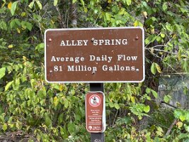 IMG_1214(2)