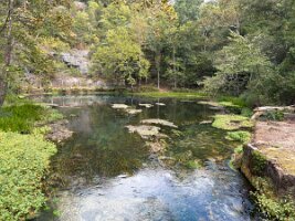 IMG_1216(2)