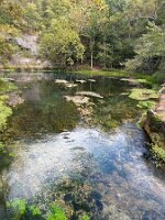 IMG_1217(2)