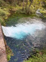 IMG_1220(2)