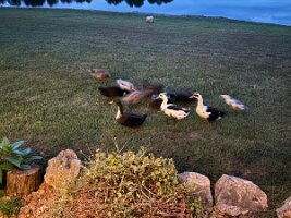 IMG_1228(2)