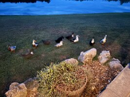 IMG_1230(2)
