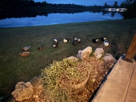 IMG_1231(2)
