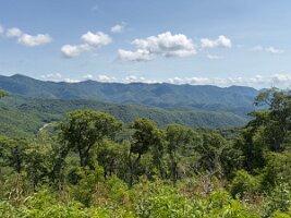 IMG_0553