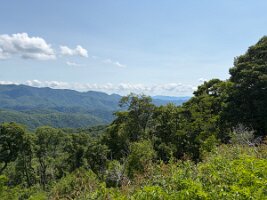IMG_0554