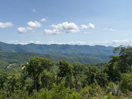 IMG_0555