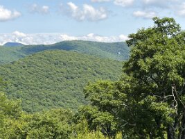 IMG_0556