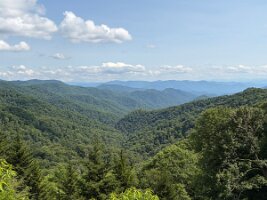 IMG_0561