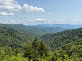 IMG_0562