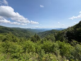 IMG_0564