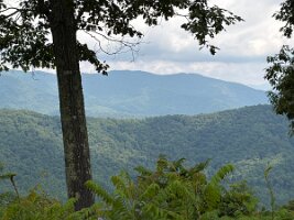 IMG_0568