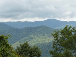 IMG_0569