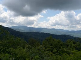 IMG_0571