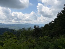 IMG_0572