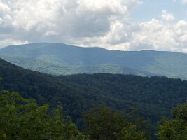 IMG_0574