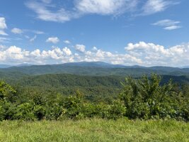 IMG_0583