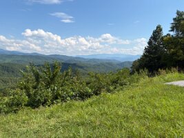 IMG_0584