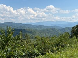 IMG_0585