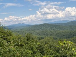 IMG_0587