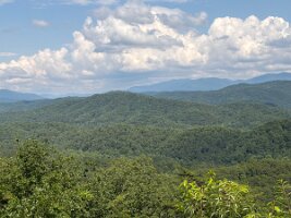 IMG_0588