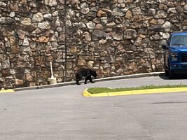 IMG_0430