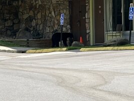 IMG_0435
