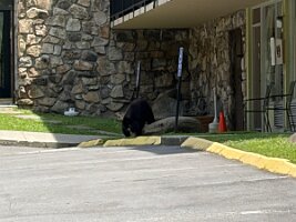 IMG_0436