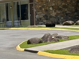 IMG_0443