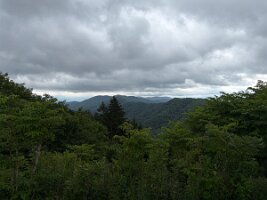 IMG_0447