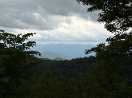 IMG_0448