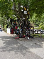 IMG_0499