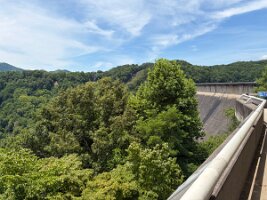 IMG_0516