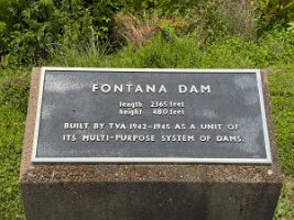 IMG_0520