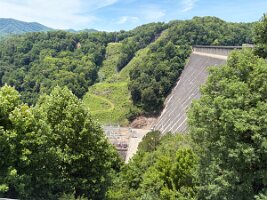 IMG_0530