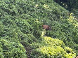 IMG_0537