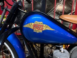 IMG_0684